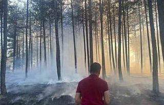 Hanönü’de çıkan orman yangını söndürüldü