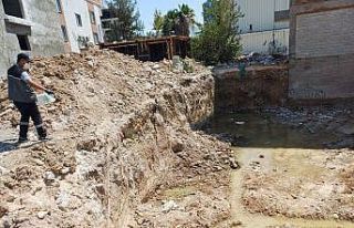 Haşereyle mücadele aralıksız devam ediyor