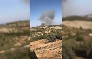 Hatay’da orman yangını