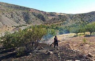 Hekimhan’da ormanlık alanda çıkan yangın söndürüldü