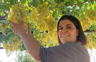 Hem mahallenin muhtarı hem bağın sultanı