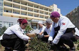Hem serinletici, hem de sağlıklı