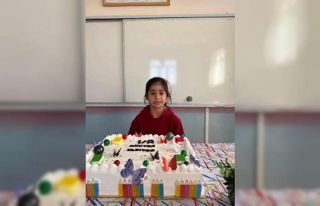 Hezil Çayına düşen 8 yaşındaki çocuk hayatını...