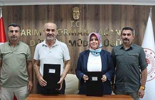 Hibe sözleşmesi imzalandı