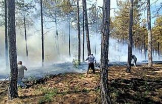 Honaz’da orman yangını