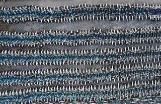 İBB’nin bisiklet mezarlığı havadan görüntülendi