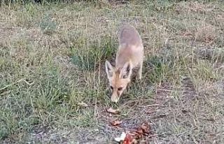 İlhan öğretmenden anlamlı davranış