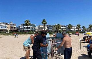 Işık kirliliği yönlerini şaşırttı, gönüllüler...