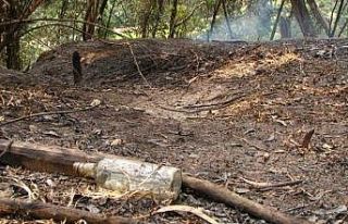 İspanya 14 farklı noktada orman yangını: 7 ölü