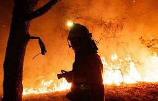 İspanya’daki orman yangınlarında 407 bin hektarlık...