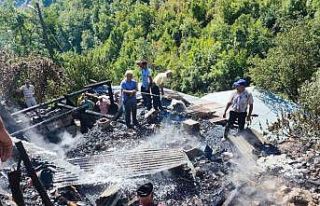 İspir Üzümbagı Köyü’nde korkutan yangın,...
