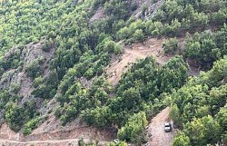 İspir’de bitki örtüsü yangını korkuttu