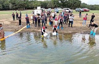 İstanbul’daki göletlere 3,7 milyon yerli üretim...