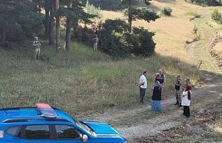 Jandarma ekipleri ormanlık ve mesire alanlarını...
