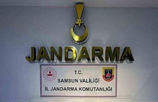 Jandarmadan 2 ayrı uyuşturucu operasyonu: 2 gözaltı