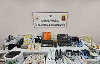 Jandarmadan baskın; 36 kişiye gözaltı, 6 milyon...