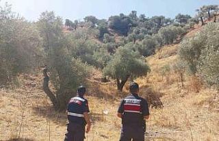 Jandarmadan hava destekli orman denetimi