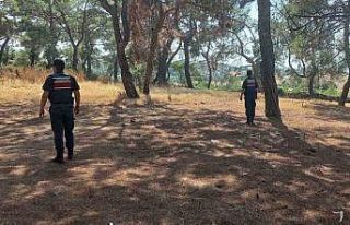 Jandarmadan orman devriyesi