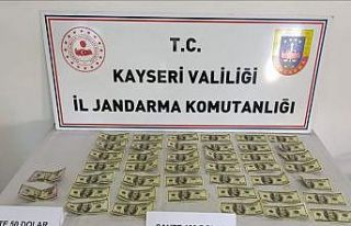 Jandarmadan sahte döviz operasyonu