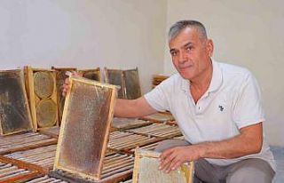 Kahramanmaraş’ta bu yıl 10 bin tonunun üzerinde...