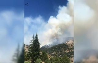 Kahramanmaraş’ta orman yangını
