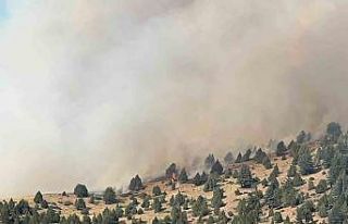 Kahramanmaraş’taki orman yangını ekiplerin müdahalesi...