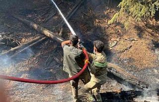 Kahramanmaraş’taki orman yangını kontrol altına...