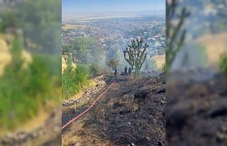 Kale bağlarında çıkan yangını korkuttu