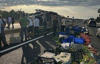 Kamyon bariyerlere saplandı: Sürücü öldü, kasadaki...