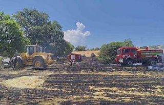 Karabük’te anız yangını kontrol altına alındı