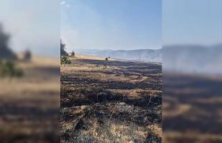 Karabük’te çıkan anız yangını kontrol altına...