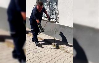 Karabük’te doğalgaz kutusuna giren yılan yakalandı