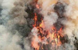 Karabük’te orman yangını nedeniyle bir mahalle...