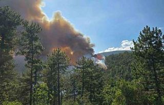 Karabük’te orman yangını rüzgarın etkisiyle...