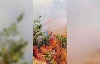 Karabük’te ot yangını büyümeden söndürüldü
