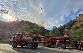 Karabük’teki orman yangını 2 saatte kontrol altına...