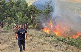 Karabük’teki orman yangınını söndürme çalışmaları...