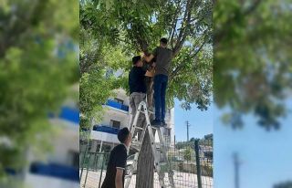 Karapınar’da esnafın kedi seferberliği