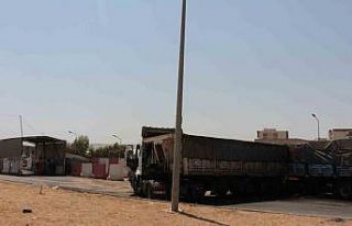 Kardeşleri hayattan koparan kaza