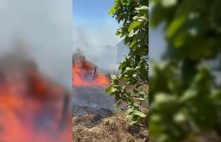 Karmürsel’den sonra Kandıra’da da yangın başladı