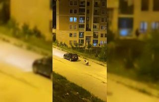 Kars’ta eşeği arabaya bağlayıp, zorla çekerek...