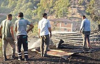 Kastamonu’da aynı bölgede ikinci orman yangını:...