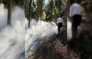 Kastamonu’da çıkan orman yangını büyümeden...