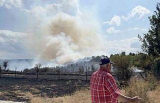 Kastamonu’da orman yangını