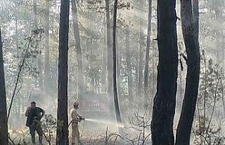 Kastamonu’da ormanlık alanda çıkan yangın büyümeden...