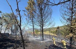 Kastamonu’da ormanlık alanda çıkan yangında...