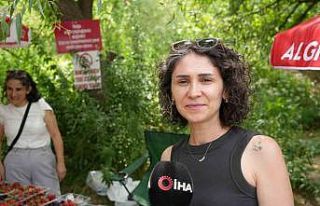 Kavurucu sıcaklarda çilek ve böğürtlen mevsimi