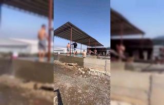 Kavurucu sıcaktan bunalan tarım işçileri maydanoz...