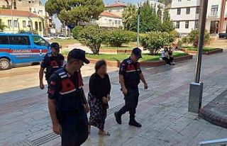 Kayınpeder öfkesi 3 hektarı küle çevirdi