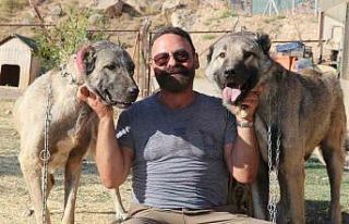 Kendi gen jenerasyonu ile çiftleşmeyen Anadolu’nun...